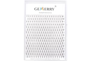 Extension Ciglia 5D Ciglia Finte Ciuffetti 5D Volume Russo Big Box 0.10 C curl Mix 8-15mm Ciglia Professionali 320 Ciuffetti Ciglia Lash Extension di GEMERRY (Big Box 5D-0.10C-mix 8-15mm)