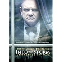 Winston Churchill: The Wilderness Years, 1928-39 (Box Set