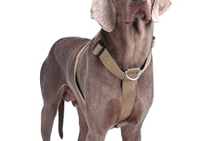 AKOFIC Pettorina Cane Taglia Grande Media Piccola, Pettorina Antifuga Regolabile con Ganci in Metallo, Pettorine Morbido Confortevole Imbottito Petto per Addestrare Le Passeggiate (Cachi, M)