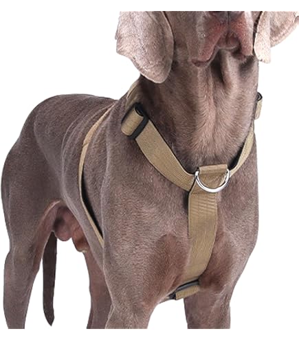 Petsafe Easy Walk Anti Trek - Tuig