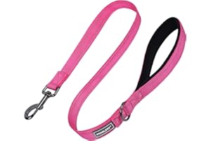 VIVAGLORY Guinzaglio per Cani, Guinzaglio da Addestramento con Manico Imbottito Confortevole, Guinzaglio Riflettente Robusto per la Sicurezza di Cani Medi e Grandi