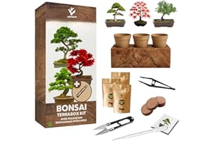 NOPALIA® Kit Bonsaï 3 Espèces Bio Prêt à Pousser avec Outils Pro (Pince, Ciseaux, Pipette), Pots, Terre & Boîte-Socle Innovante - Garantie 95% Germination - Idée Cadeau Zen Noël Made in France