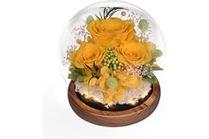 Beinhome Rosa Stabilizzata Vera Rose Eterne Fiori Fatto a Mano in vetro con Luci LED Regali per Lei Donna Mamma Nonna Fidanzata, per San Valentino Festa Della Mamma Compleanno Ringraziamento Natale