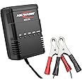 Ansmann ALCS-2-24A Batterie Ladegerät 2V/6V/12V/24V