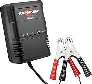 Ansmann ALCS-2-24A Batterie Ladegerät 2V/6V/12V/24V