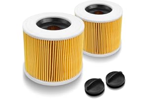 Lahnaokfis Lot de 2 filtre à aspirateur pour karcher WD series WD2 WD3 WD3P A2004 MV2 MV3 filtres à cartouche, Filtre de rechange pour Kärcher aspirateurs humides et secs 6.414-552.0/64145520