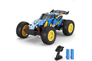 PAISHENKEJI Coche teledirigido Coche RC Drift - 1:20 RC Car de Carreras Todo Terreno Off-Road Coche de Control Remoto Camión Juguetes para Niños de 4-12 años Regalo Ideal para Cumpleaños Navidad (Azul)