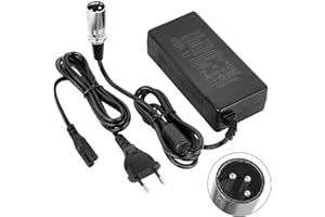 YAOBLUESEA 29.4V 2A Chargeur de e-Bike approprié pour e-Bike, Scooter électrique Chargeur de Batterie au Lithium 24V 10AH