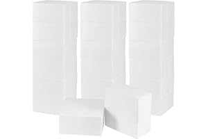 ZOENHOU Lot de 18 blocs carrés en mousse de polystyrène pour loisirs créatifs, compositions florales, fournitures de modélisation, projets artistiques - 10 x 10 x 5 cm