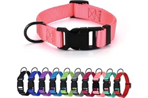 AUDWUD Dickes Nylonhalsband,klassisches verstellbares Hundehalsband in Mehreren Farben,geeignet für kleine,mittlere und große Hunde,4 Größen