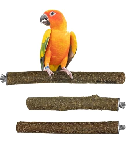 LZMDISU Papageien-Holzständer, 31,8 Cm Länge, Natürliche Vogelleiter Für Kleine, Mittelgroße Papageien, Sittiche, Nymphensittiche, Eschenholz, Braun Grau