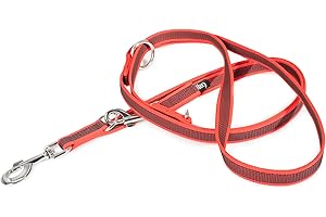 JULIUS K-9 IDC Color & Gray regulowana smycz z podwójnym karabińczykiem, 20 mm x 2,2 m, czerwono-szara