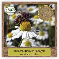 BIO Echte Kamille Samen Saatgut Kräutersamen Bienenweide Bodegold Blumensamen mit essbare Blüten