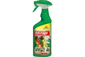 Neudorff Insecticida Natural RTU Anti-Pulgón – Spray listo para usar para el control de pulgones negros, pilgones amarillos y pulgones verdes, 500 ml