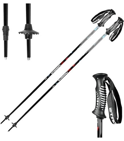 HEAD Unisex-Adult Worldcup Rebels Carbon Skistöcke, White