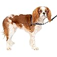 PetSafe® Deluxe Easy Walk® Dog Harness, No Pull Harness, Stop Pulling, Great for Walking and Training, Comfortable Padding, for Small Dogs- Steel/Black, Small