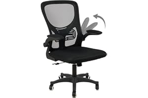 IL GRUPPONE PASSIONE CASA Sedia Da Ufficio Con Supporto Lombare, Sedia Scrivania Ergonomica Braccioli Regolabili Altezza Regolabile Schienale In Rete Traspirante,Oscillante Con Ruote Girevoli Poggiatesta (Senza Poggiatesta)