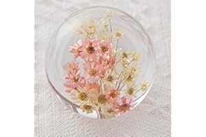 Zhyx Gänseblümchen Briefbeschwerer Daisy Crystal Wishing Ball Unique ist ein perfektes Geschenk für Familie, Freunde, Paare und Kinder (7cm) Durchmesser