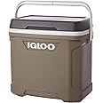 Igloo 30qt sportsman cooler