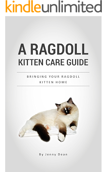 A Ragdoll Kitten Care Guide Bringing Your Ragdoll Kitten Home Ebook Dean Jenny Amazon Co Uk Kindle Store
