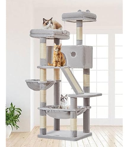 Krabpaal kopen? | Groot aanbod | Snelle levering - Pets Place Krabpaal kopen? | Groot aanbod | Snelle levering - Pets Place