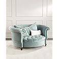 TAYYABA ENTERPRISES Wood Classic & Modern Look Multipurpose Usable Wing Perfect Harlow Ivory Cuddle Seating Chair (Sky Blue, Color of the Product May Vary)