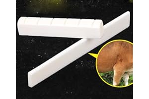 MINGZE 6 String Akustische Klassische Gitarre Knochen Brücke Sattel und Nuss/Muttern Gemacht von Echt Knochen（Für Klassisch）