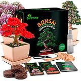 BonPrime Kit Bonsai para Principiantes - Huerto Urbano con 4 Semillas Bonsai, 4 Macetas de Bambú, 4 Turbas, 4 Marcadores, Pin