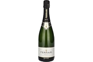 FERRARI GHD - Nouvelle Pochette de transport thermorésistante - Modele V2 de 2013 - Adaptée aux stylers mini, original et salon