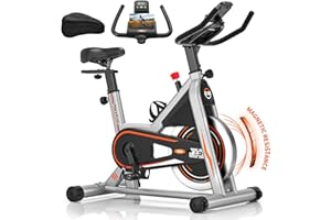 Vélo d'Appartement, DMASUN Vélo d'Exercice Magnétique Silencieux avec Écran LCD, Résistance Réglable de 0 à 100%, Volant d'inertie Solide, Siège Moelleux et Confortable, Capacité de Charge 160 kg