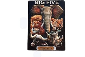 MUYU MAGNET Aimant de réfrigérateur 3D animaux sauvages de la Tanzanie - Cadeau souvenir de voyage - Décoration de cuisine - Autocollant magnétique - Collection d'aimants de réfrigérateur Tanzanie