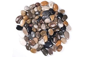 YIZZWTC 2000g Ciottoli Decorativi Giardino, 2-4 cm Pietre Decorative per Vasi Piccole, Sassolini Decorativi per Acquario Ciottoli Lucidati Naturali per Paesaggistica Vasi Piante Grasse (Multicolore, 2-4 cm)