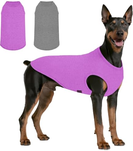 Pinkaholic New York NARD-HA7358 Da Vinci Hundegeschirr – Größe M, Braun | Atmungsaktiv & Waschbar