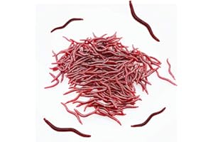 Senven Artificial lombriz, Silicona Suave biomimética Cebo lombriz Señuelos Pesca lombriz Simulación Gusanos Rojos plástico Ambiente Verde Fuerte tentación Cebo Falso RedWorm - 200Pcs