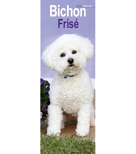 Purely Home Tazza Da Viaggio In Ceramica 'World's Best Bichon Frise': Regalo Perfetto Per Gli Amanti Dei Cani, 300ml Con Coperchio In Silicone