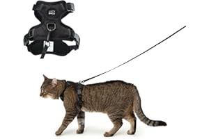 LucyBalu® Explorer Katzengeschirr mit Leine | ausbruchsicheres Katzengeschirr mit AirTag Fach | Katzen Brustgeschirr mit Katzenleine | Sicherheitsgeschirr mit Leine für Katzen | Schwarz XS/S