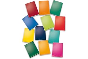 PIGNA confezione da 10 pezzi - maxiquaderno a4 40fg+2 80gr 2 colonne monocromo pigna