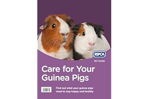 Care for Your Guinea Pigs (RSPCA Pet Guide)