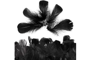 SUNRIZ 600 Stück Schwarze Federn 8-12cm, Natürliche Bastelfedern für DIY Handwerk, Festivals, Teen & Adult