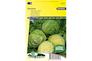 ARBORIX Lechuga Iceberg Barcelona Semillas