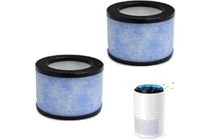 Wjelet 2 filtros de repuesto True HEPA DH-JH01/JH06, filtro para purificador de aire CONOPU DH-JH01/DH-JH06, filtro purificador de aire Conopu, filtración de carbón activado de 4 etapas