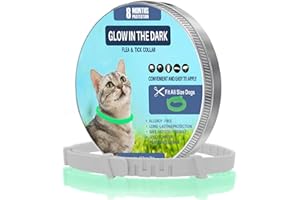 ÖTTRI Zeckenhalsband für Katzen und kleine Hunde | Leuchtendes Präventionshalsband gegen Parasiten mit bis zu 8-Monatigen Schutz | Fluoreszierendes Halsband universell auf Jede Größe verstellbar