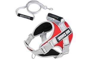 WODONDOG Arnés Perro con Correa, Arnés Antitirones Reflectante Cómodo Transpirable Arneses Chaleco para Perros Pequeños, Medianos y Grandes (Rojo, L)