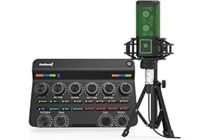 zealsound Audio Interface,Podcast Equipment Bundle with All-in-One DJ Mixer Live Soundboard, XLR Dual DIA Microphone, Voice Changer, Bluetooth, for Singing,Music Recording, Gaming, PC Phone PS4&5