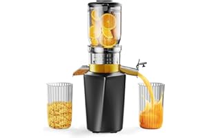 ‎FYENKFAR Fyenkfar ENTSAFTER GEMÜSE UND OBST TESTSIEGER - ENTSAFTER SLOW JUICER für mehr Vitamin und Enzyme, OBST und GEMÜSE in ihrer reinsten Form - für gesunde Ernährung und Familienfeiern (Schwarz）