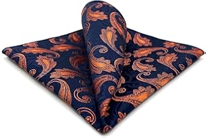 S&W SHLAX&WING Carré De Poche Paisley Traditionnel 32cm Costume Mariage Cérémonie Haut De Gamme