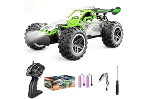 Pmgud auto telecomandata 2,4 GHz 1:18 proporzionale 2WD 20 + km/h Hobby Offroad Monster RC Truck, impermeabile RC Truggy giocattolo verde