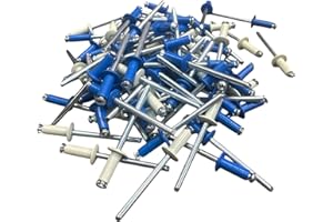 Kit 100 Rivetti VITFER 4.8x12 a Fiore per Targhe Auto Moto - 60 Blu e 40 Bianchi - Rivetti Resistenti Assortiti per Carrozzeria e Fissaggi