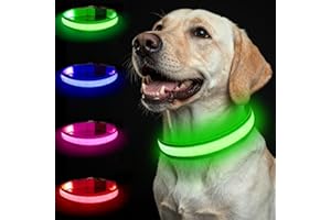 Nepfaivy Collar Luminoso para Perros - 3 Modos Collar Perro Luz con USB Recargable y Impermeable, Ajustable Collares LED para Perros Pequeños, Medianos y Grandes (Verde-M)