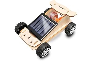 WEIONGPPY Solar holzbausatz Kinder ab 8 Jahre,Solar bausatz Kinder,Spielzeug 10 Jahre Jungen solar Roboter Spielzeug,für Jungen Mädchen ab 8 9 10+ Jahren，Weihnachten Geburtstag Ostern Geschenke